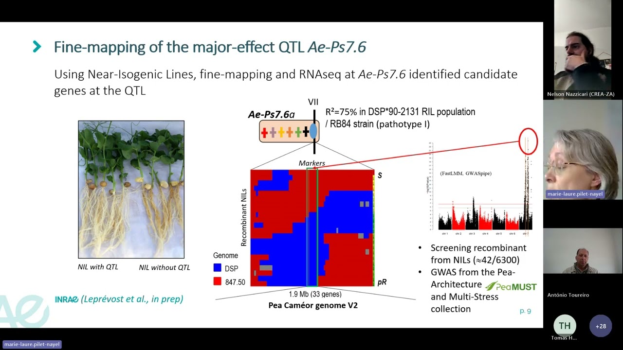 [ILSW s3e07] Genetic control of Aphanomyces root rot resistance in pea, with Marie-Laure Pilet-Nayel