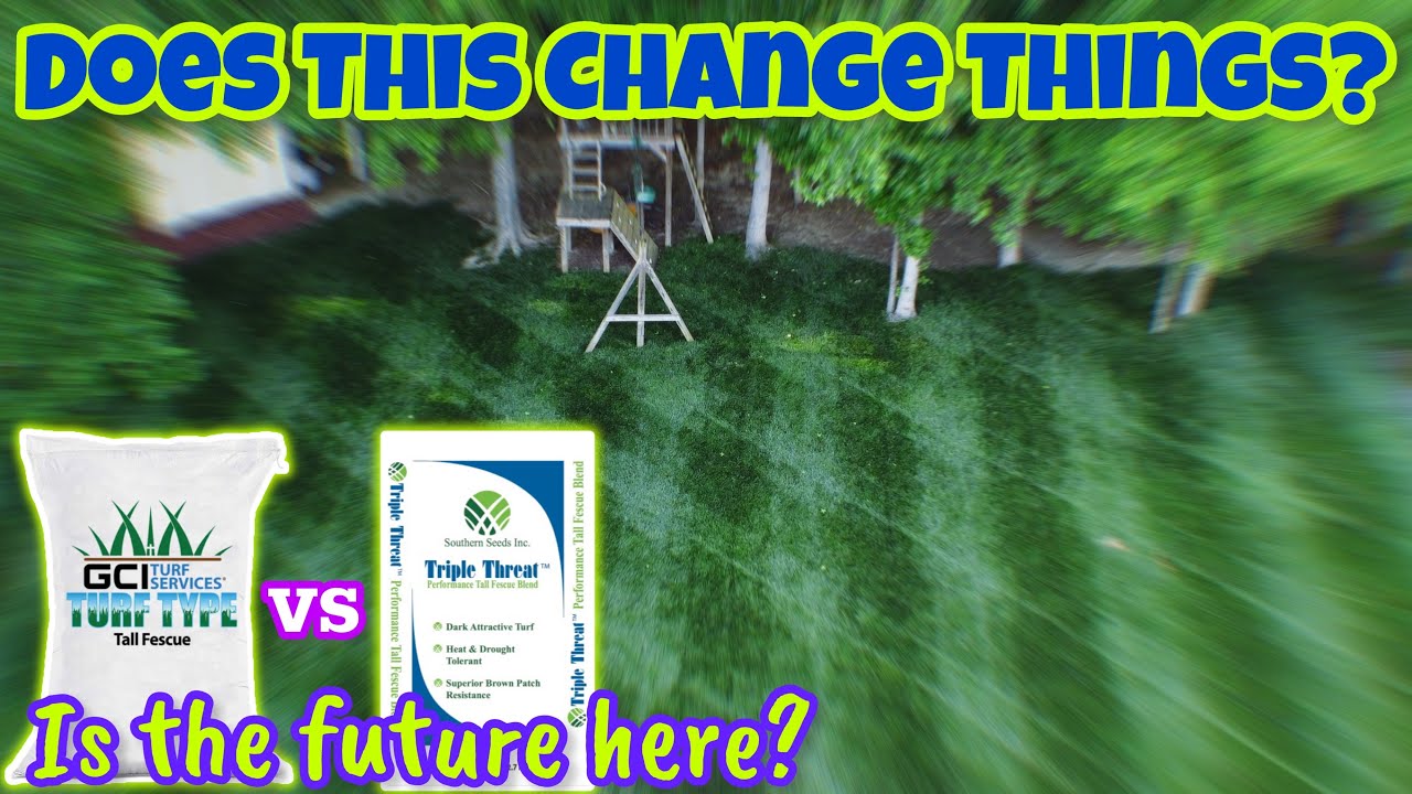 Will Spreading Tall Fescue Become The Norm?