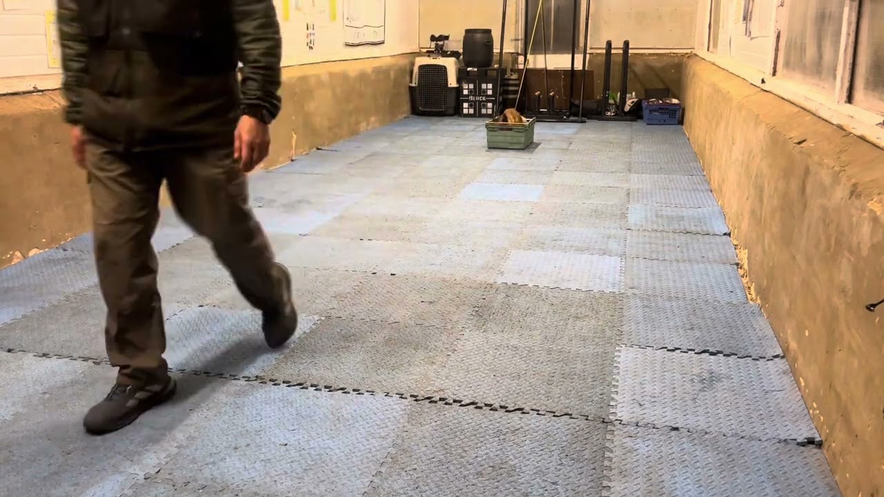 Positions 2 with Roman malinoi