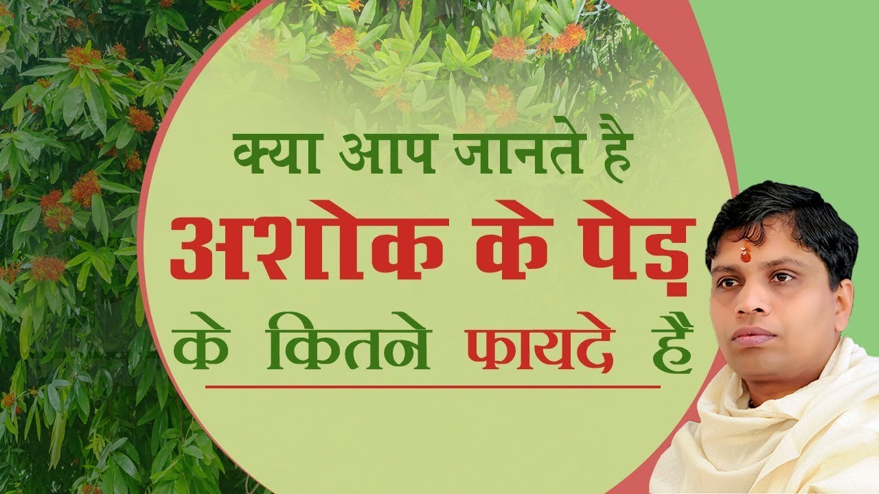 क्या आप जानते है अशोक (Ashok) के पेड़ के कितने फायदे है | Acharya Balkrishna