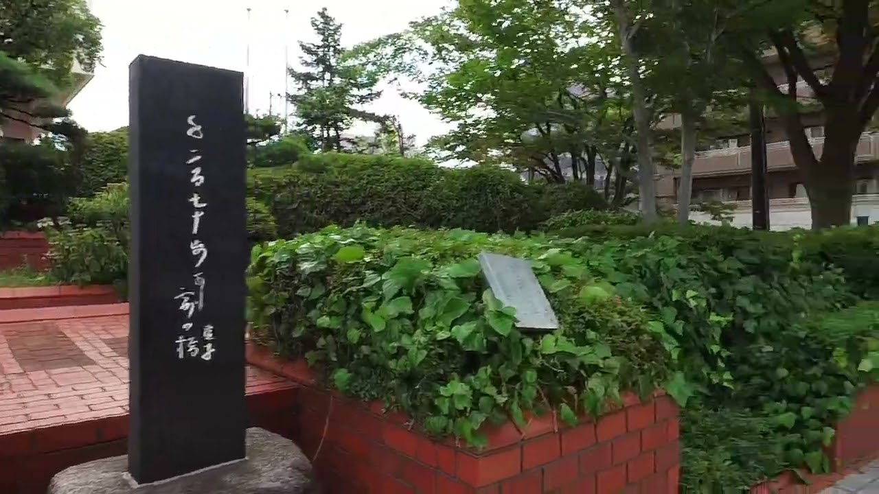 新潟県新潟市中央区川端町６丁目 / 250718✨✅「信濃川のたおやかな流れと、歴史ある柳都（りゅうと）の情緒が響き合う、新潟屈指の文教・邸宅街」 🌊✨