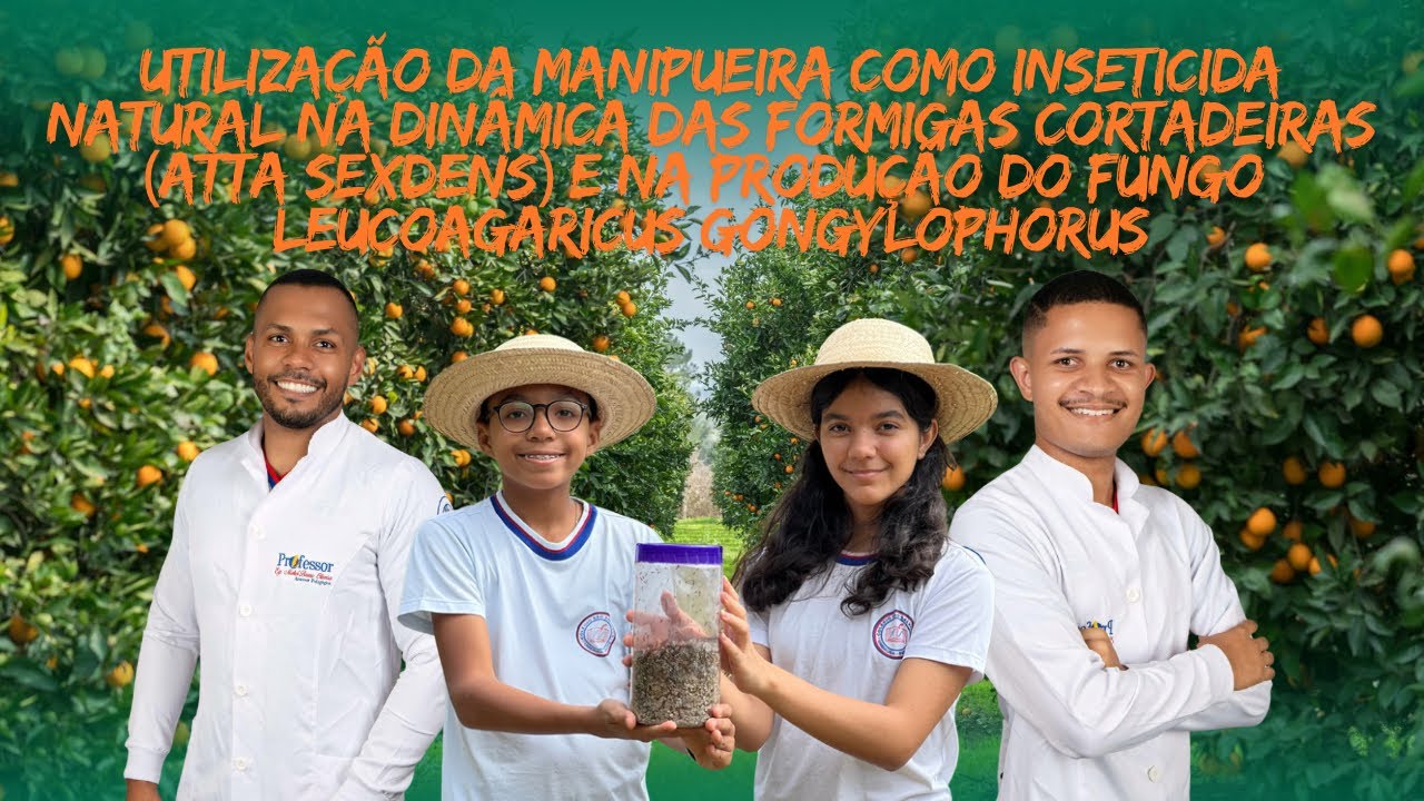 UTILIZAÇÃO DA MANIPUEIRA COMO INSETICIDA NATURAL NA DINÂMICA DAS FORMIGAS CORTADEIRAS