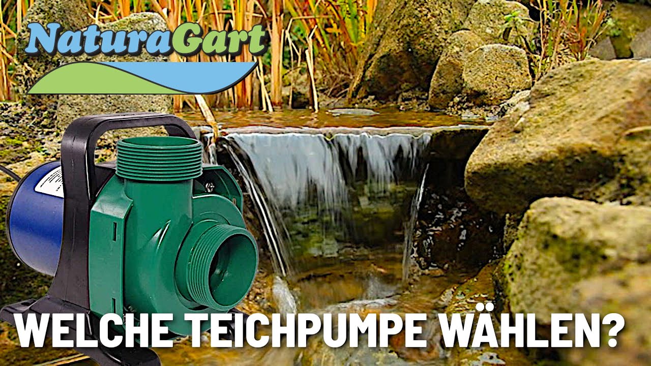 Wassertechnik am Teich - Teichpumpe auswählen