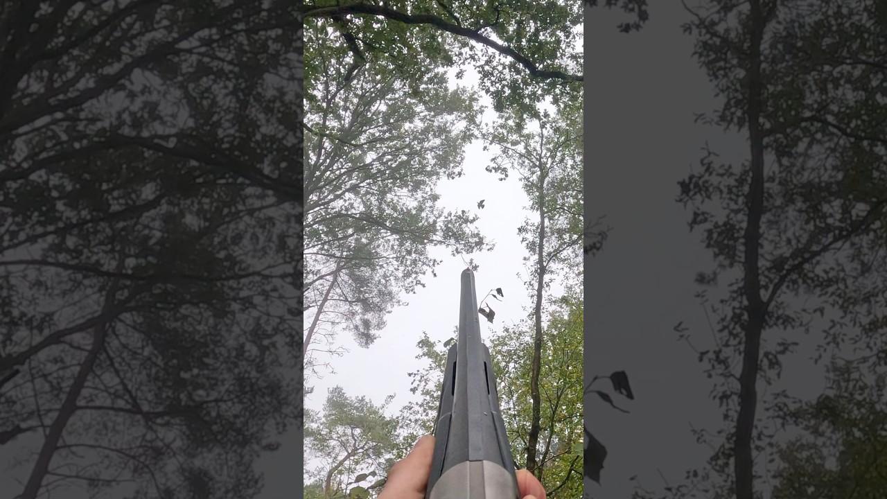 Chasse à la palombe ! 3 jolies tirs avec le SX4!🐦🎥 