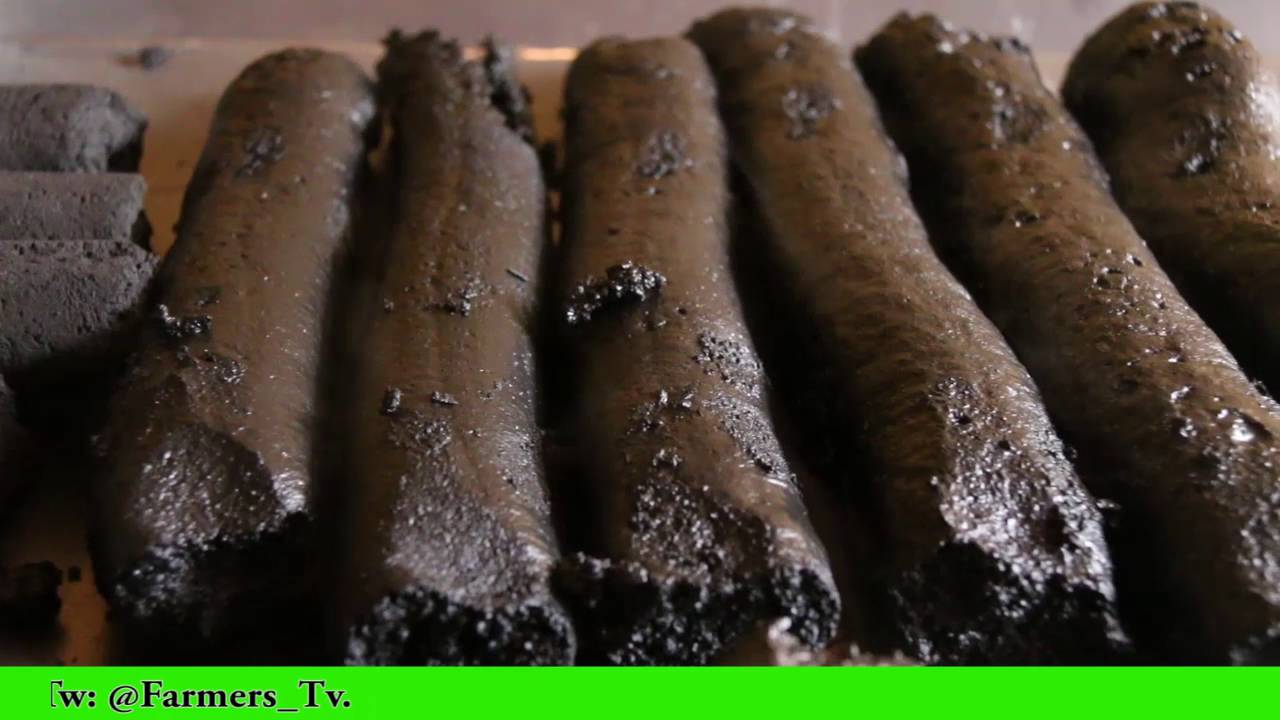Charcoal Briquettes Making By Damos Tech.