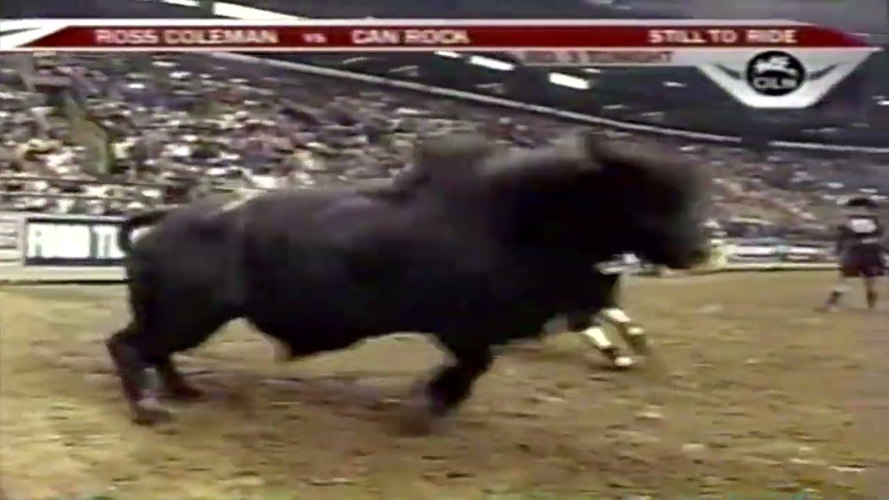 Sean Willingham vs Wild Bill - 05 PBR St. Louis (87.5 pts)