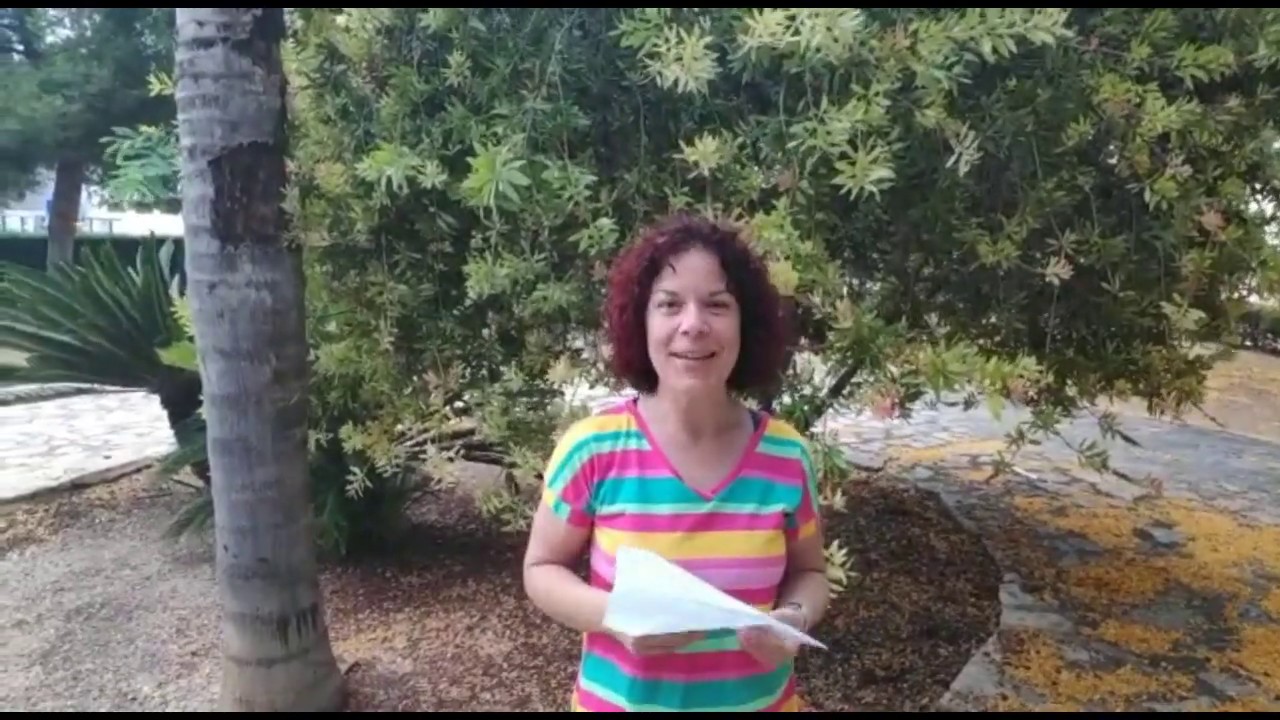 CEIP VERGE DEL REMEI - VÍDEO ACOMIADAMENT