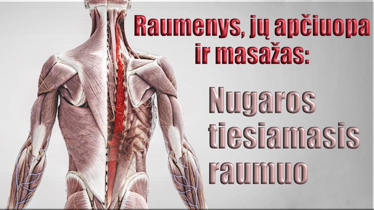 Raumenys, jų apčiuopa ir masažas: Tiesiamasis nugaros raumuo praktiškai