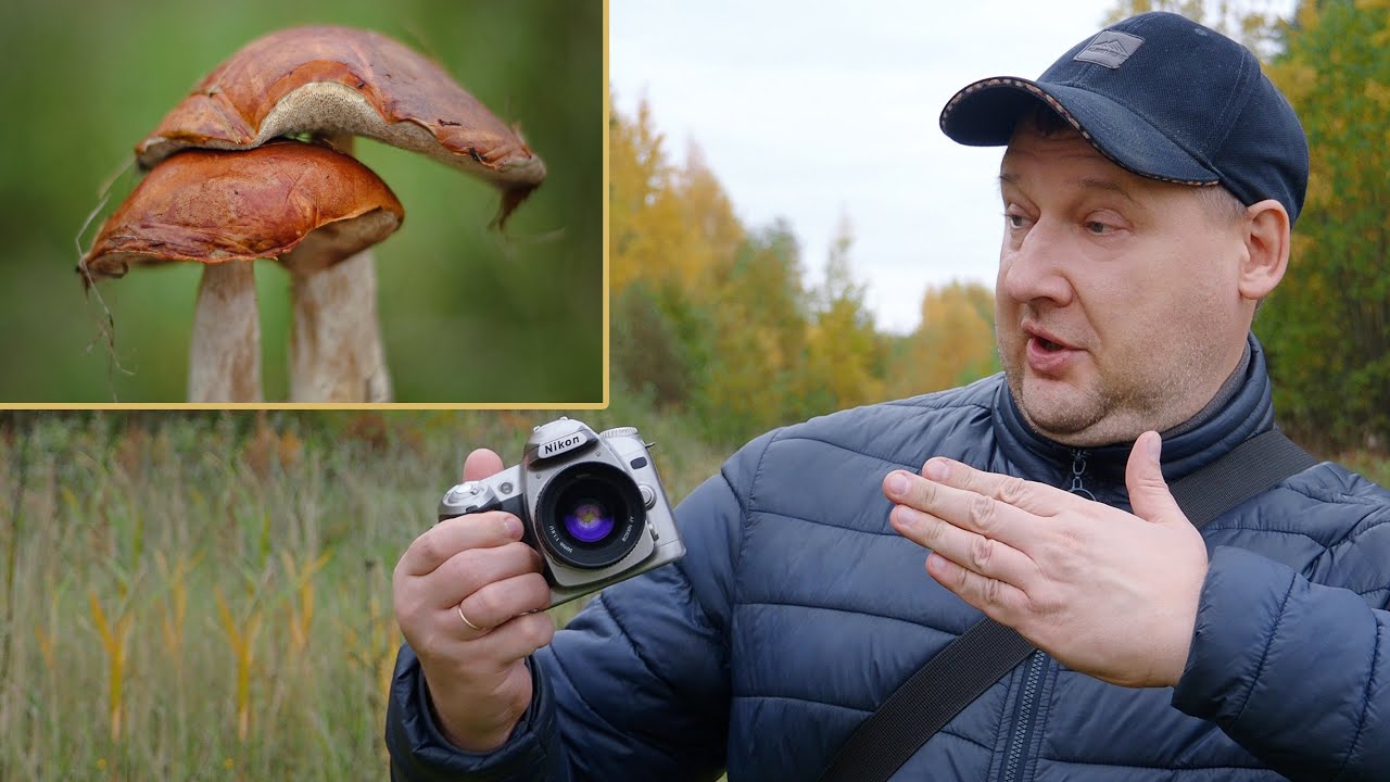 Nikon - Тот самый цвет  CСD матриц - Nikon D50 🍄😻❤