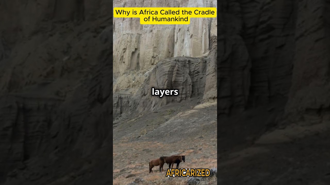 Why is Africa Called the Cradle of Humankind