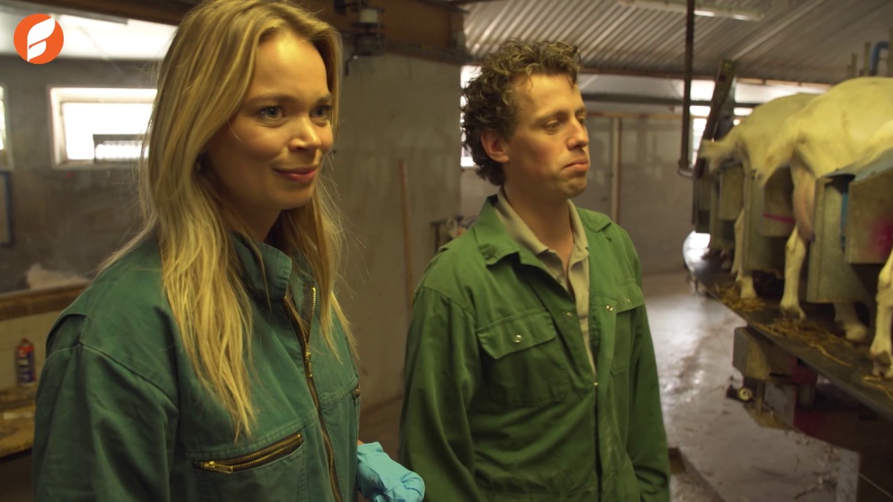 Een boerderij vol geiten