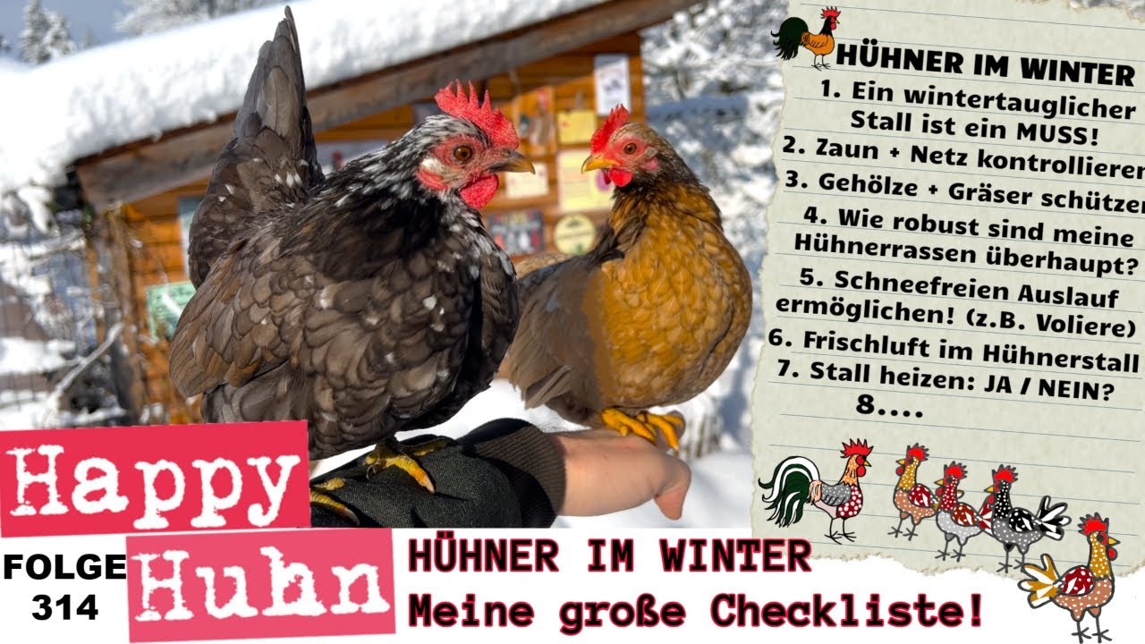 Hühner im Winter! 10 Punkte mit Checkliste, die du beachten solltest! HAPPY HUHN E314 #hühnerhaltung