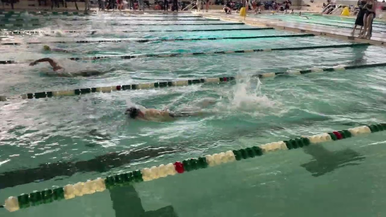 Hank Rogers 100 Free