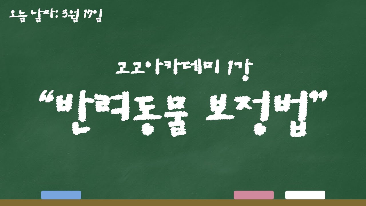 우송정보대학 애견의료전공 