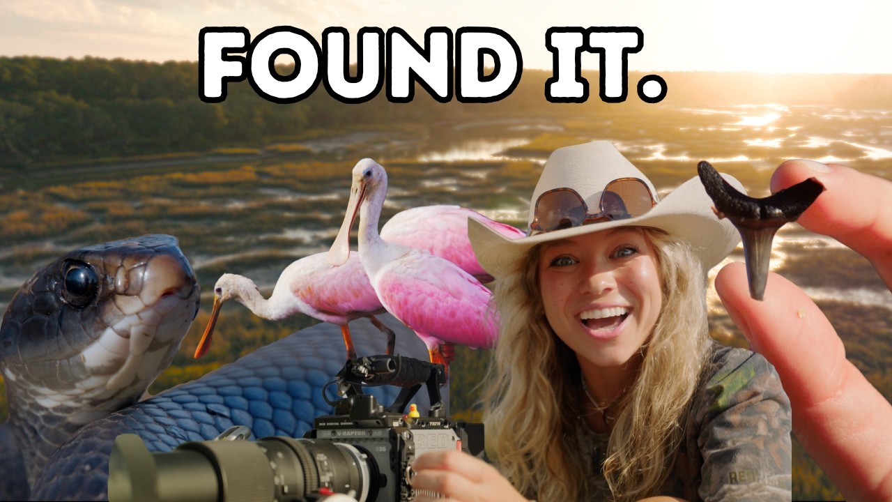 Fossils, Tides & Secrets in the Lowcountry | Wild Wild South