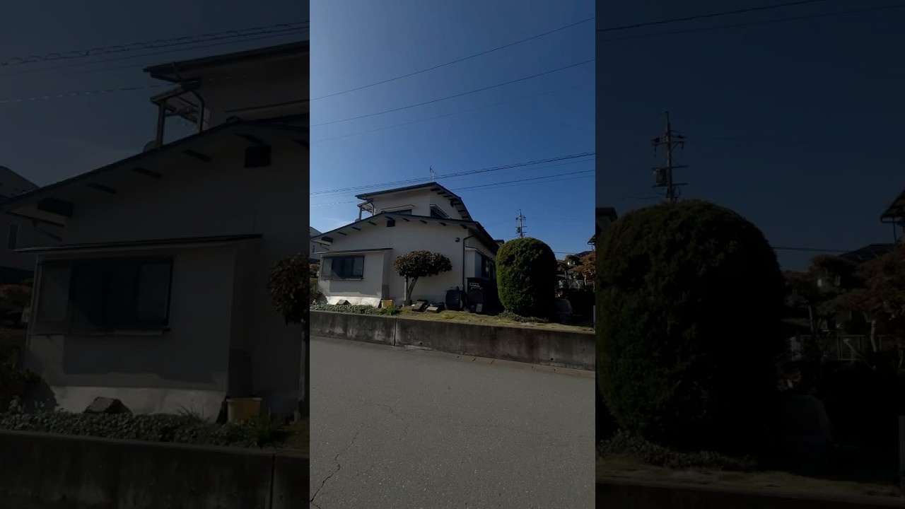 Japanese house #leoPalace #ryokan
