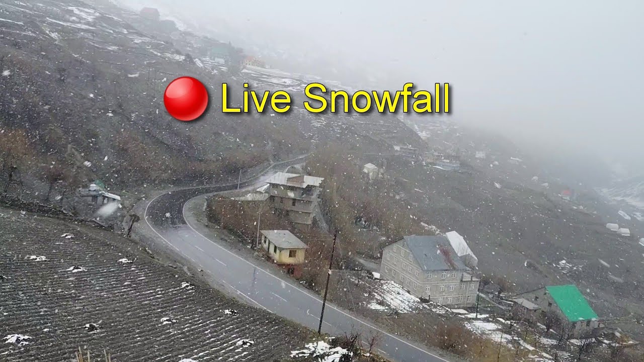 🔴 Live Snowfall Near Atal Tunnel Rohtang Manali