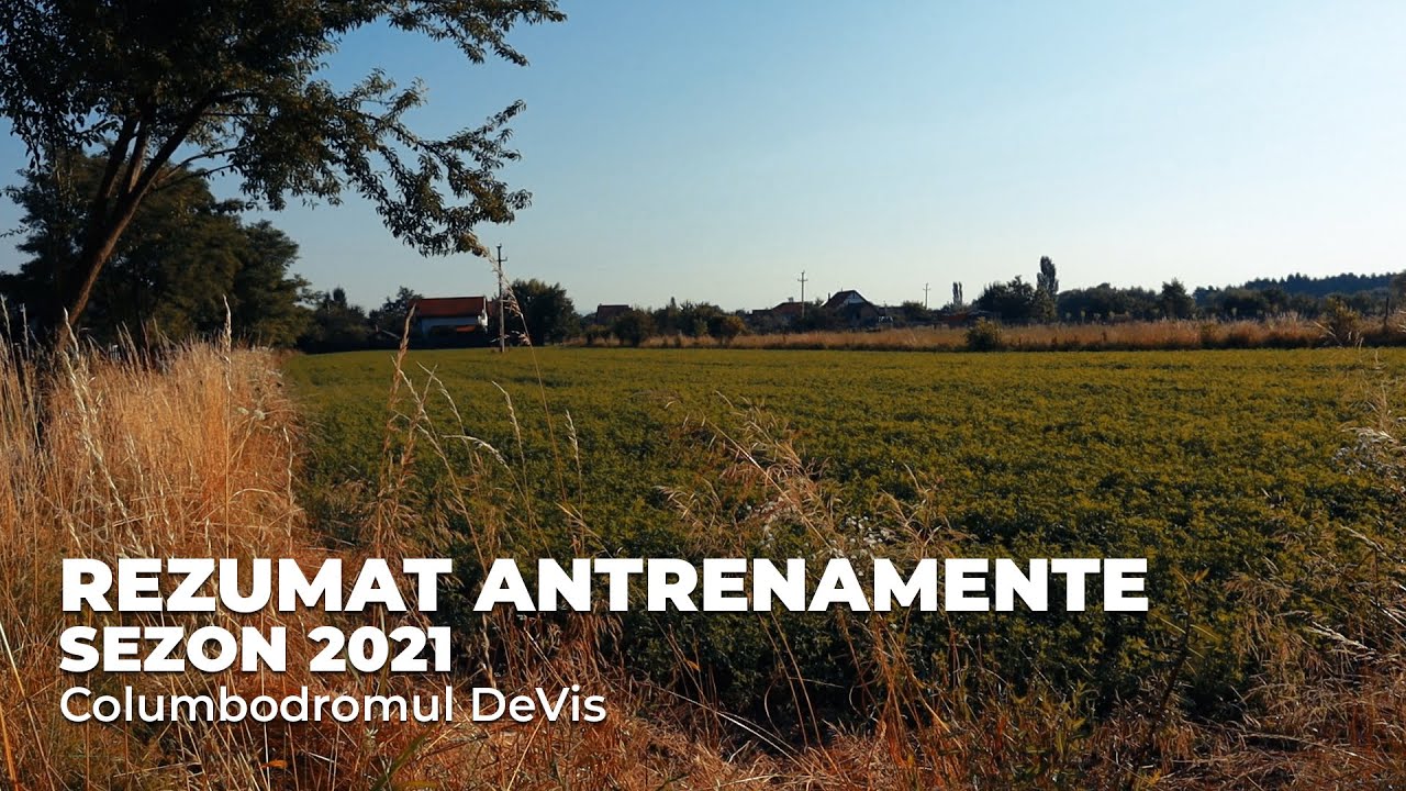 Rezumatul Antrenamentelor Sezon 2021 - Columbodromul DeVis
