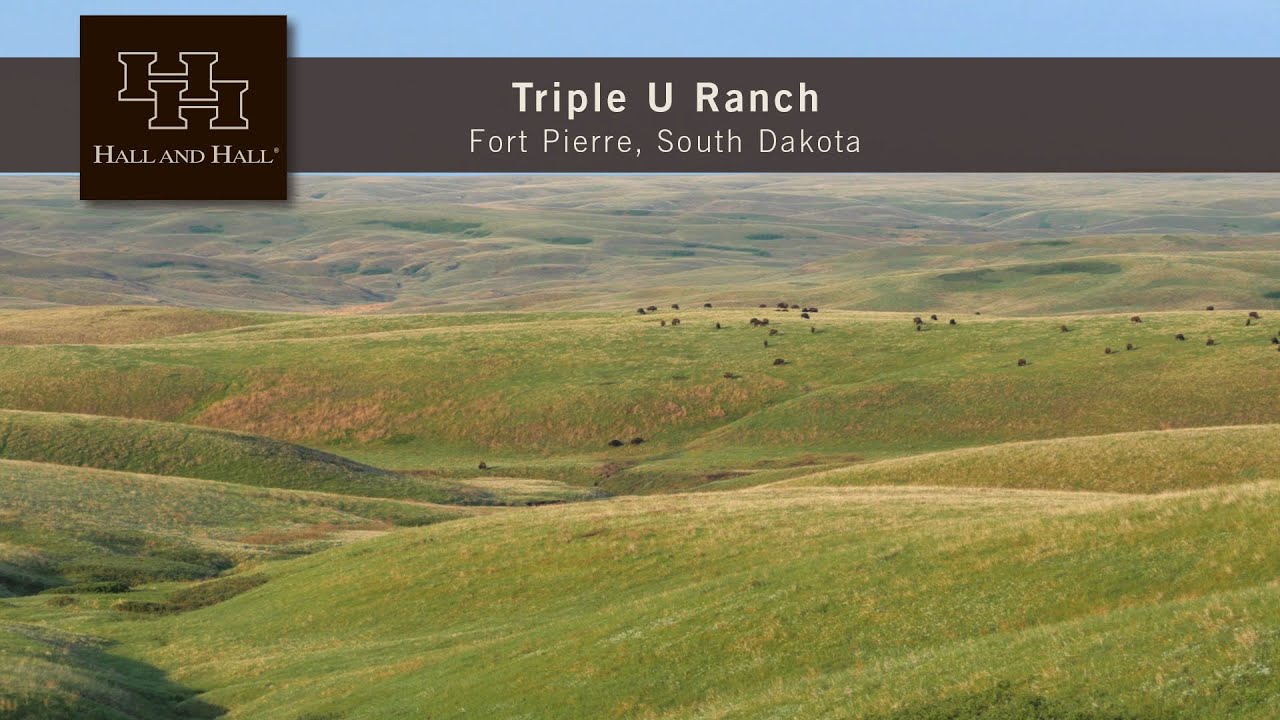 South Dakota Auction - Triple U Ranch