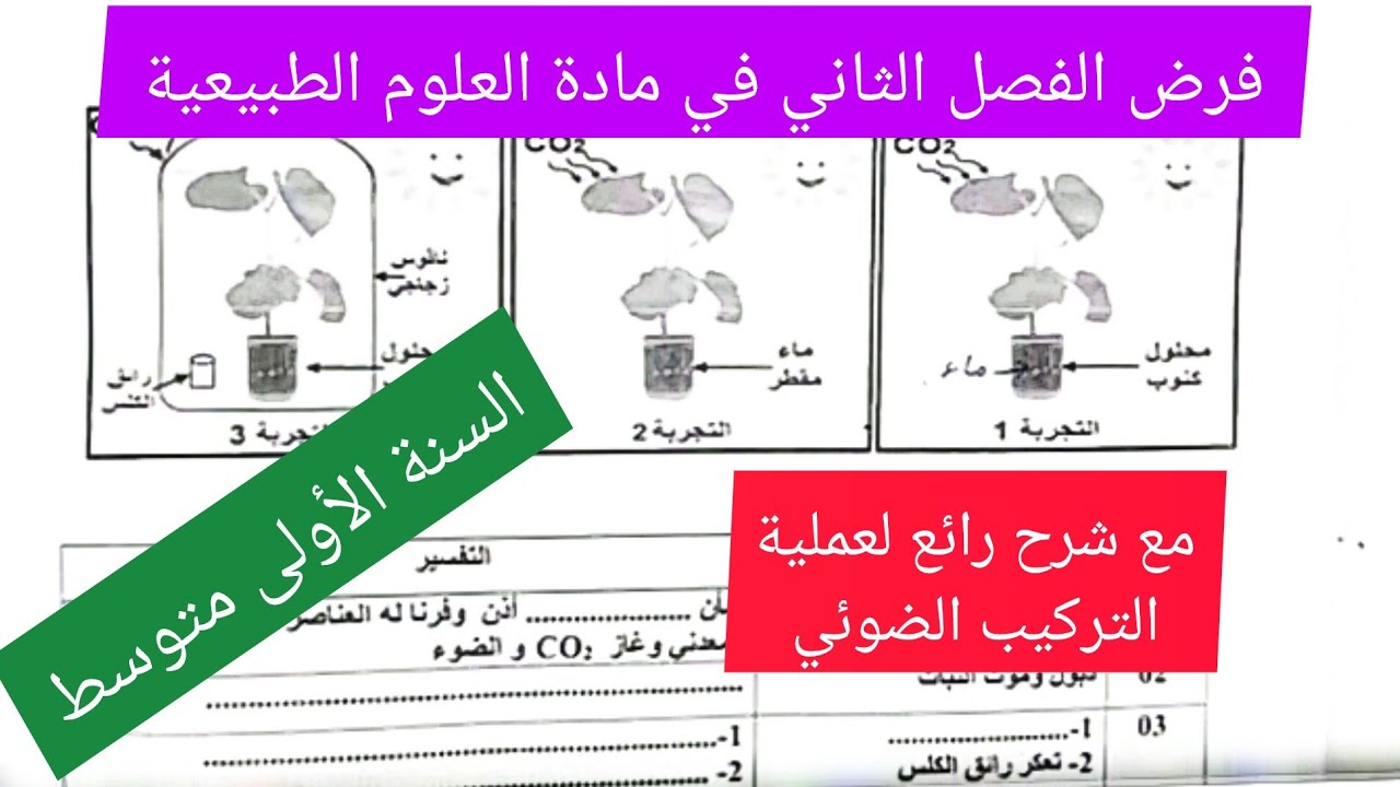 فرض الفصل الثاني في مادة العلوم الطبيعية السنة الأولى متوسط