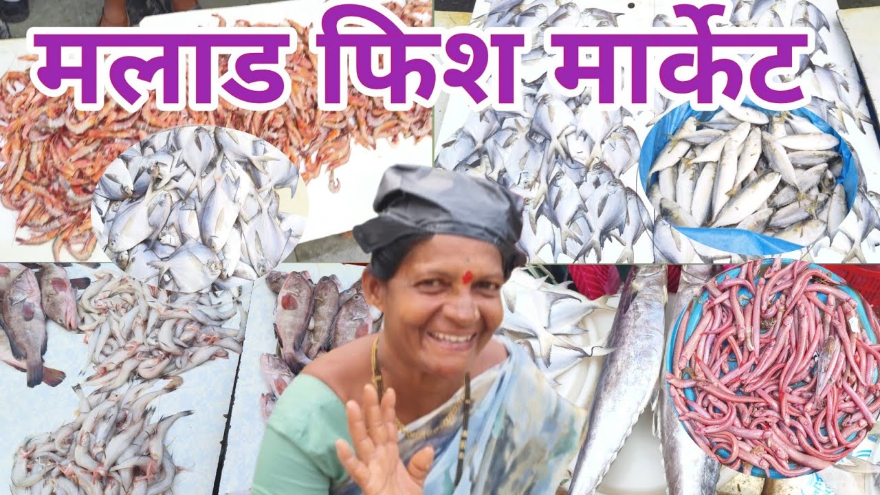 Malad Fish Market mumbai |🇮🇳🐟Wholesale and Retail Fish Market , Mumbai Tour Walk and Drive 