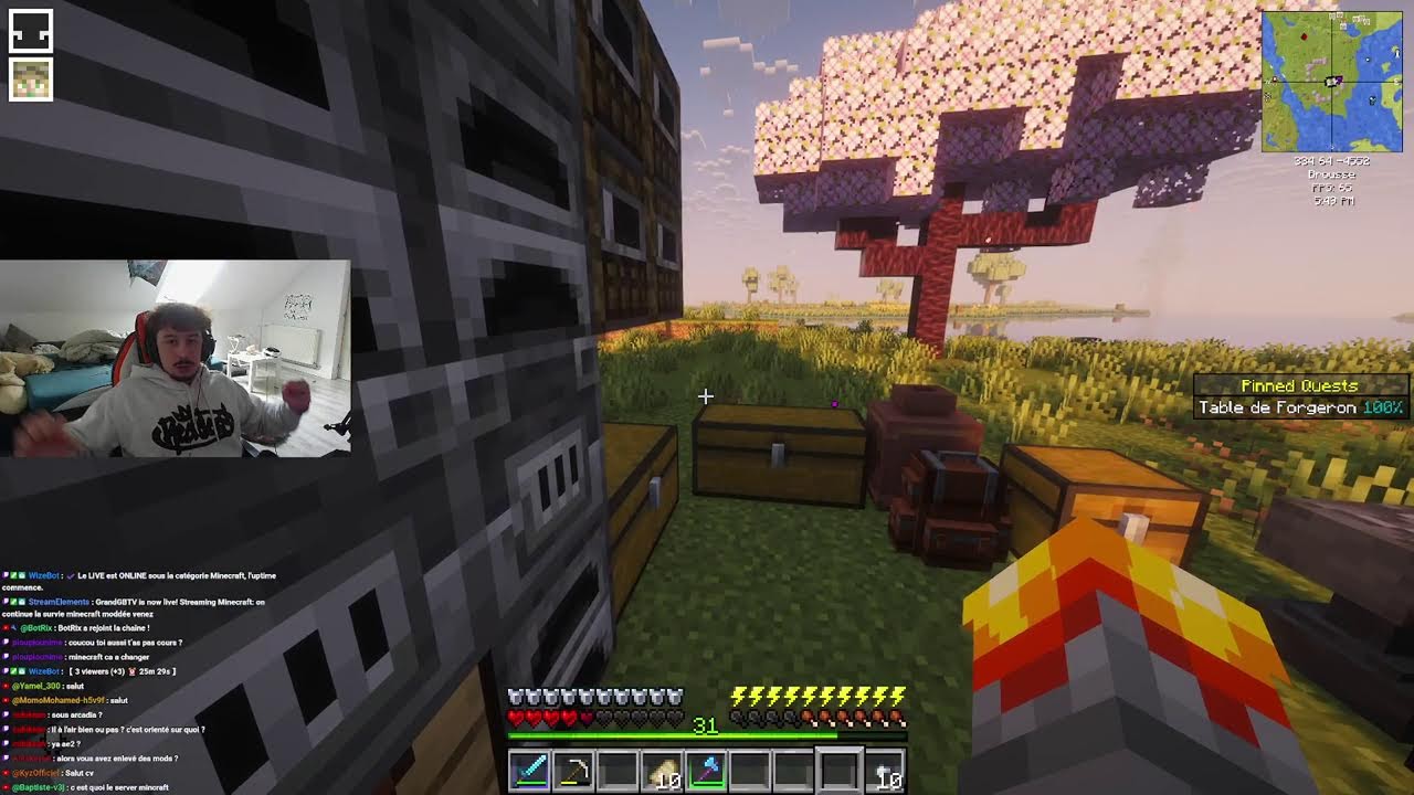 on commence une survie minecraft (venez rejoindre