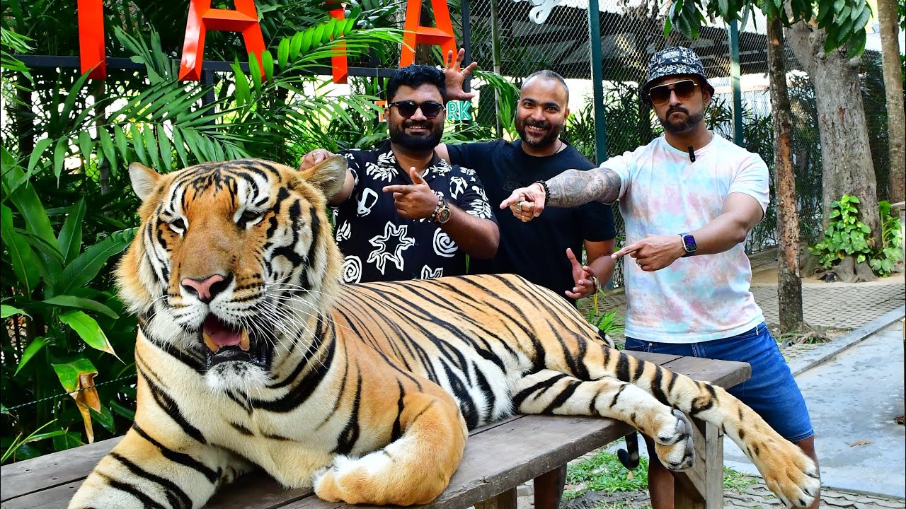 Pattaya Day 05 Part 02 #tigerparkpattaya #thailand