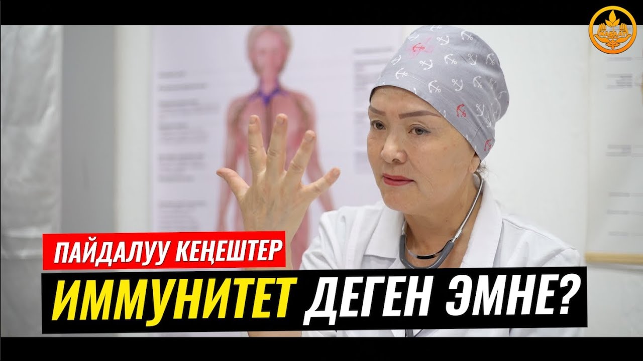 ИММУНИТЕТ ТУУРАЛУУ МААЛЫМАТ. ВРАЧ-ТЕРАПЕВТ ГҮЛСАНА БАПАЕВА