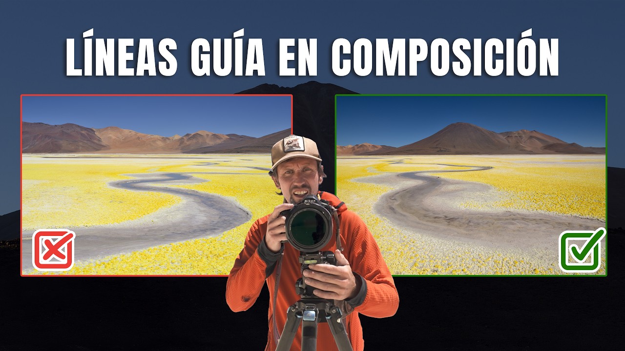Composición: ¿Cómo dirigir la mirada? (con ejemplos)