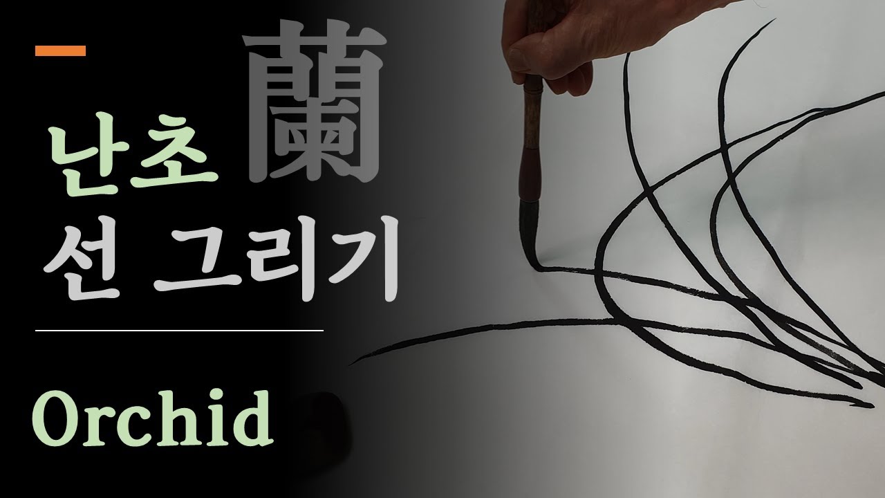[사군자]난초 잎그리기/난 그리는 방법/ 선그리기 연습