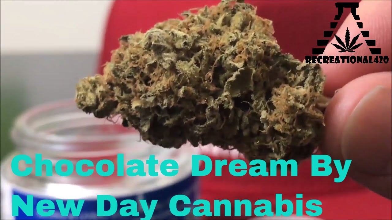 Recreational Cannabis Review of Chocolate Dream Flower By New Day Cannabis