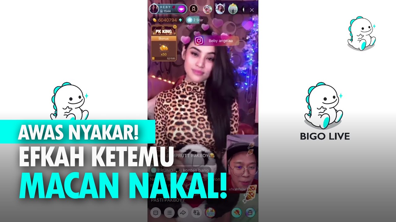 Efkah Fajar Jinakan Macan Nakal di Bigo!