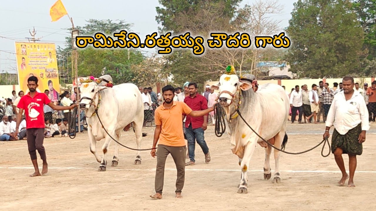 ఆకుల గణపవరం న్యూకేటగిరి 1వ రామినేని.రత్తయ్య చౌదరి గారు తోటపాలెం గ్రామం గుంటూరు జిల్లా..