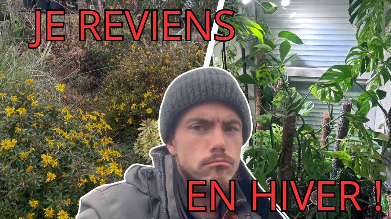 LES DEGATS DEHORS ET DEDANS !