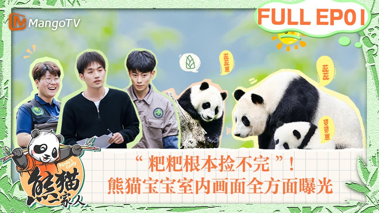 MULTI SUB｜实习饲养员与熊猫初见面“粑粑根本捡不完”！室内画面全方位曝光📹配餐tips你学到了吗？｜《熊猫一家人Panda‘s Family》｜EP01｜MangoTV