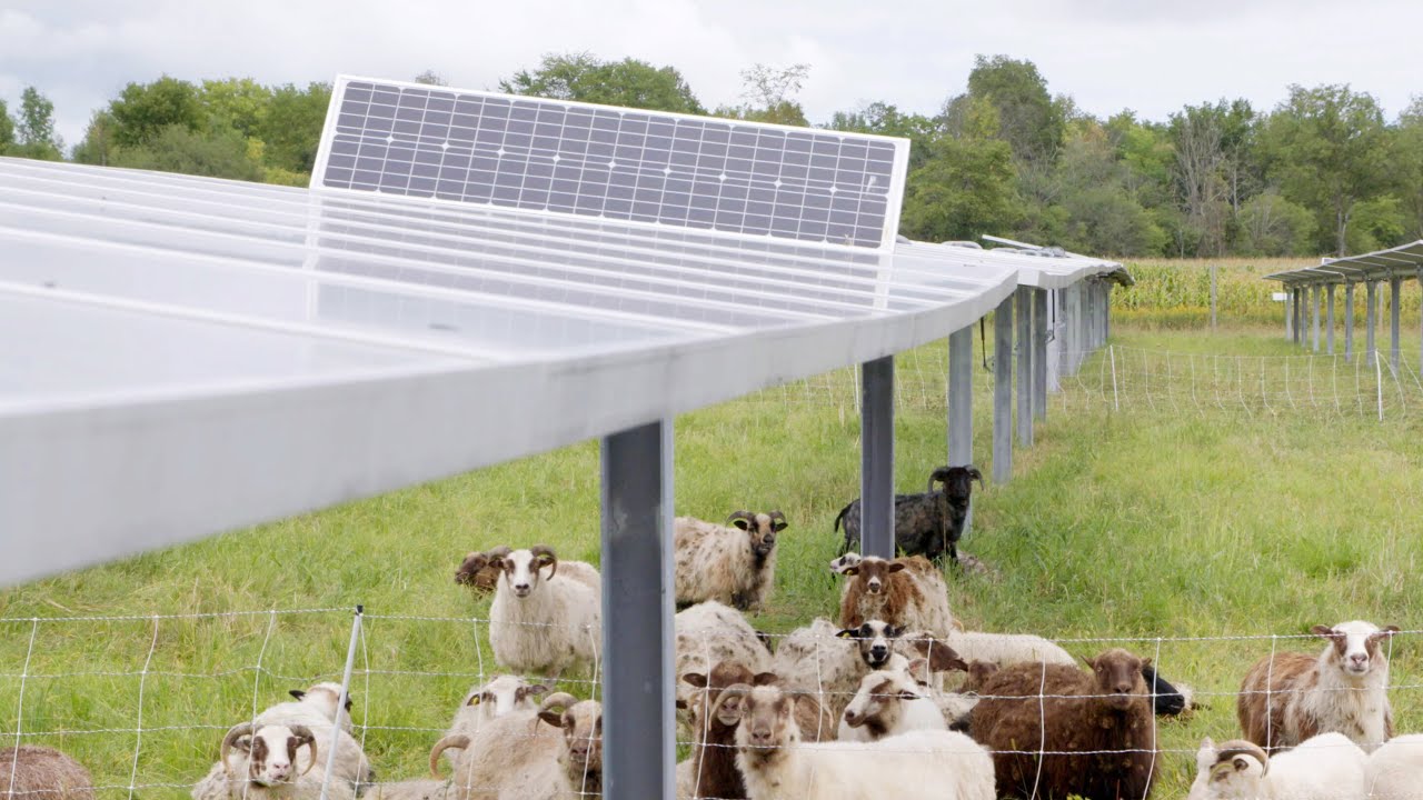 Panton, Vermont's microgrid | Fighting climate change? #ClimateAcrossAmerica