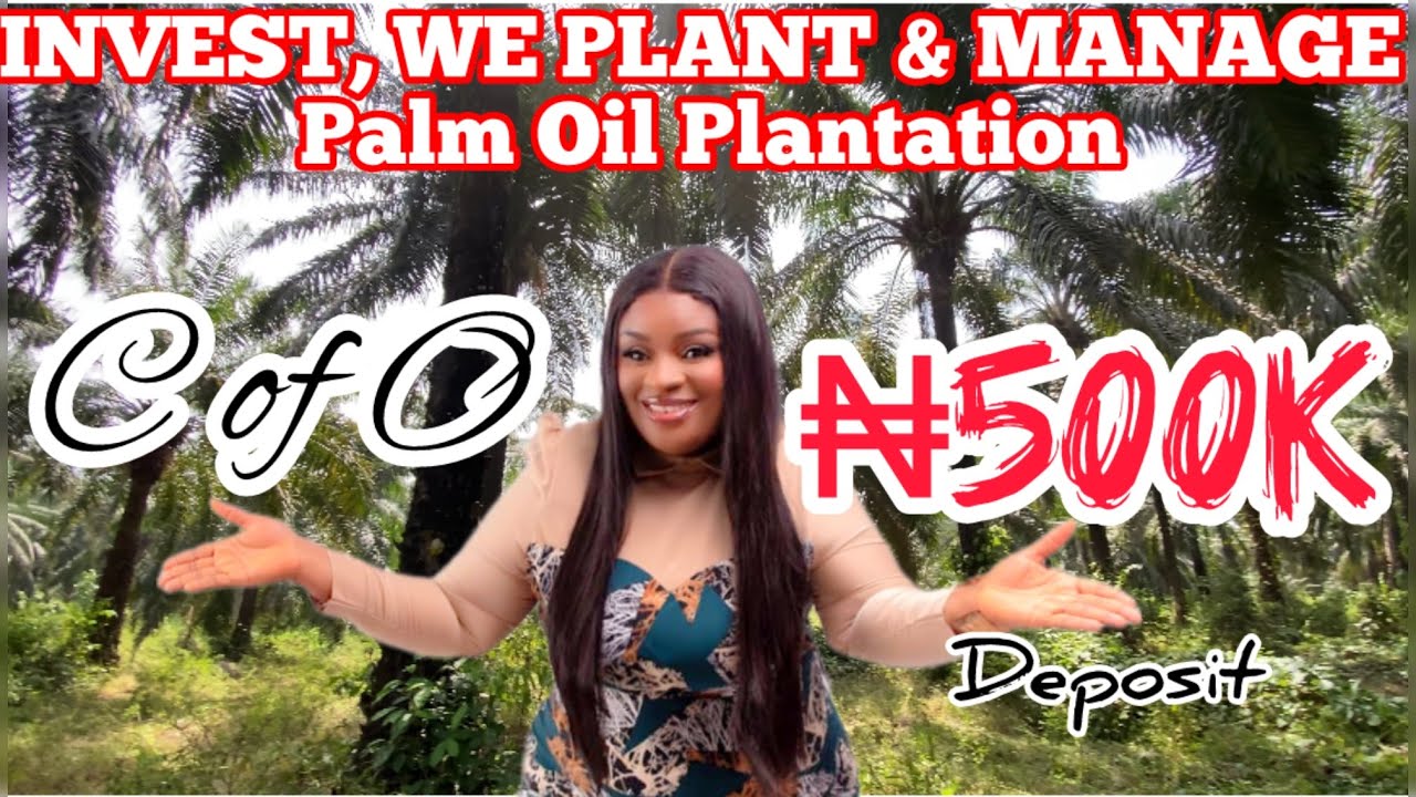 How Investors in 2026 Own CofO Palm Oil Plantation Farmland in Ogun State Without Farming Themselves