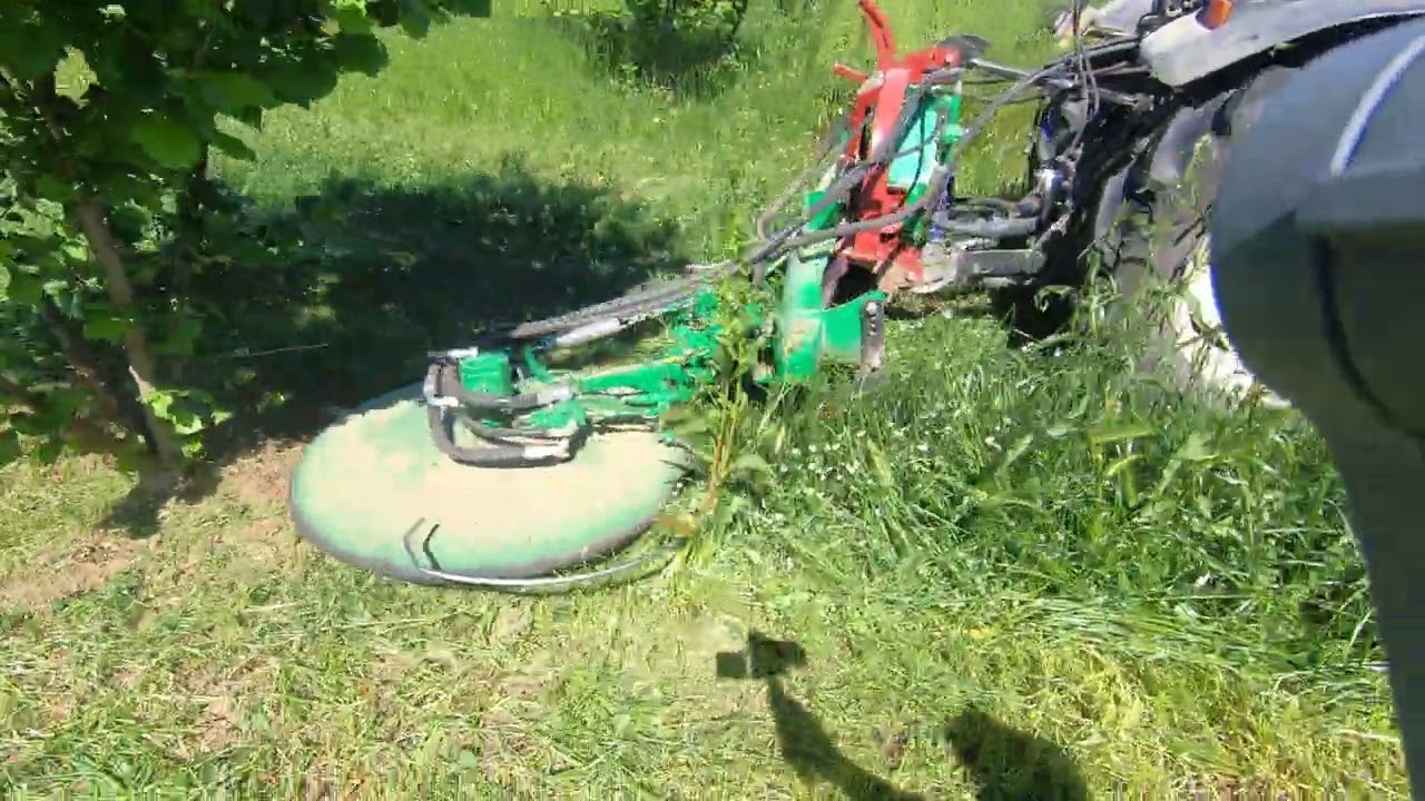 ΠΛΕΥΡΙΚΟΣ ΔΙΣΚΟΣ ΖΙΖΑΝΙΟΚΤΟΝΙΑΣ Η ΑΠΑΝΤΗΣΗ ΤΗΣ ΠΑΝΑΓΡΟΤΙΚΗΣ ΣΤΙΣ ΑΚΡΙΒΕΣ ΤΙΜΕΣ ΖΙΖΑΝΙΟΚΤΟΝΩΝ