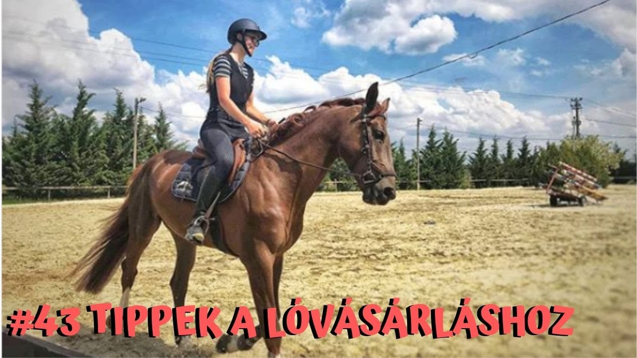10 TIPP A LÓVÁSÁRLÁSHOZ