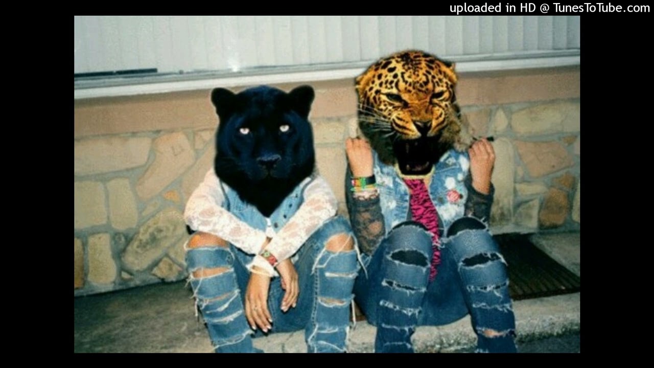 free crank type beat