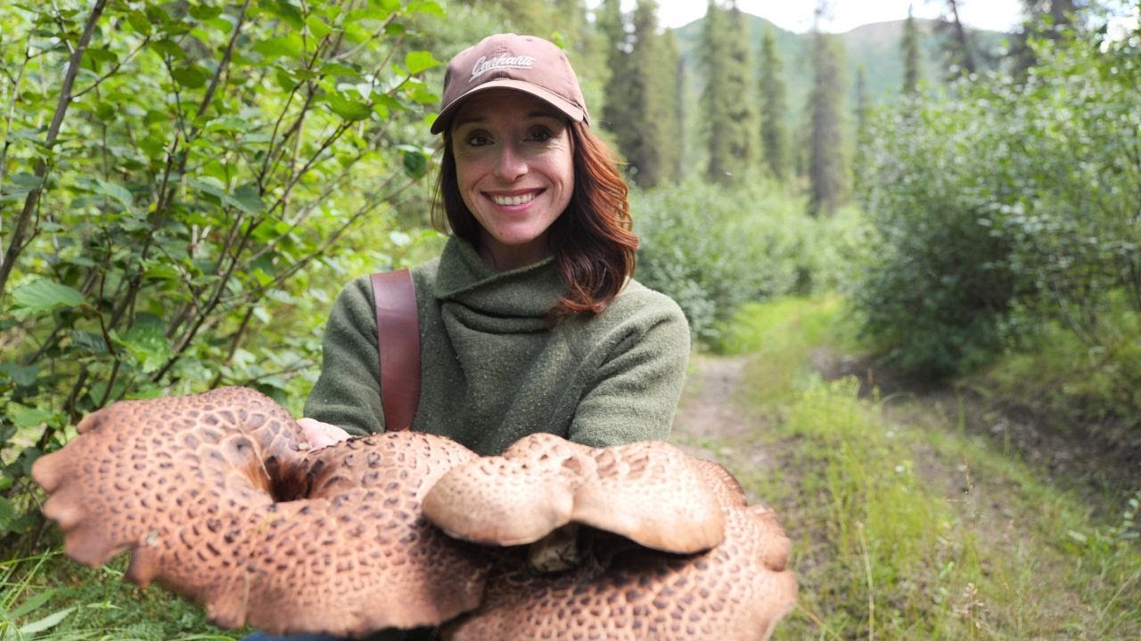 Foraging GIANT Wild Mushrooms in Remote Alaska | Traditional Drying & Preservation