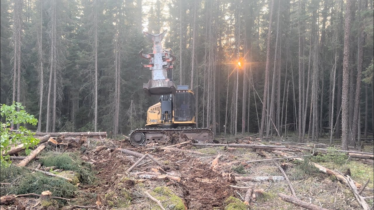 Tigercat 870C feller buncher-Northern Ontario logging