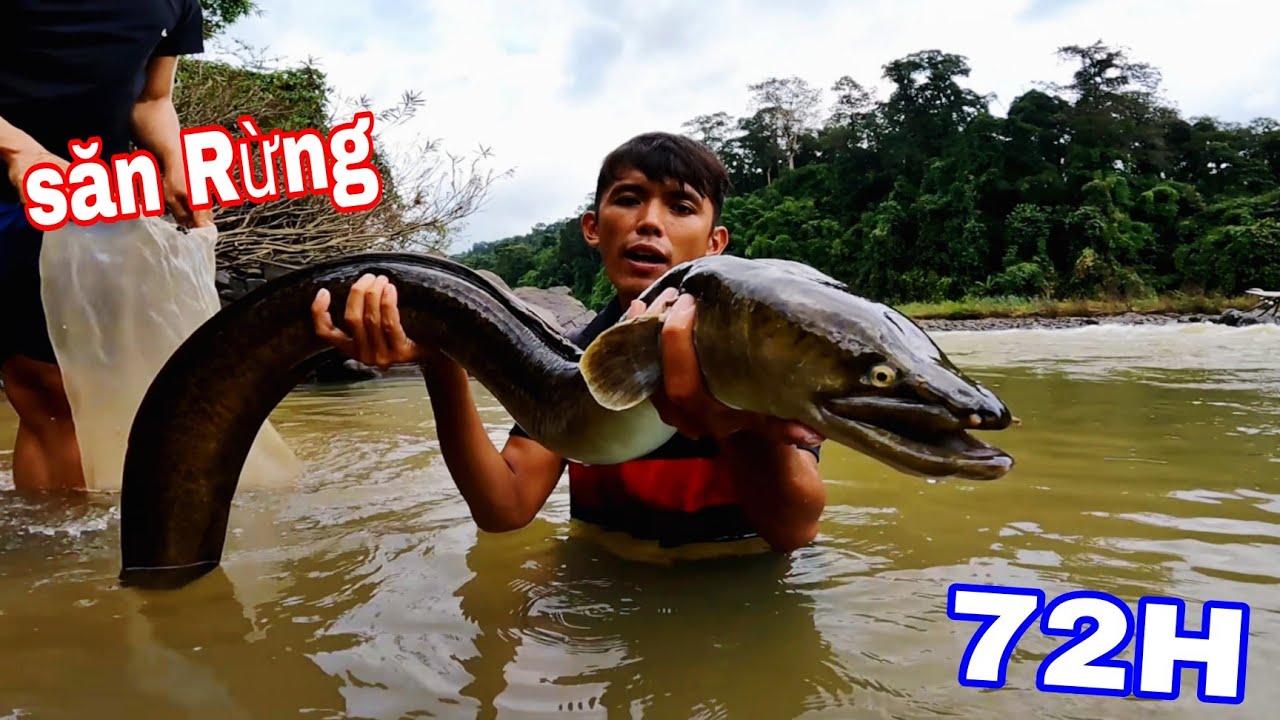 Con Này Là Cá Hay Lươn RỪNG??? Chúng Tôi Đã Bỏ Ra 72H Sống Trong Rừng Để Săn NÓ | Cá Rừng 