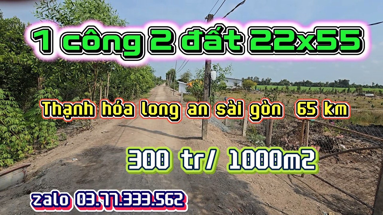 NỢ  SAO  TẾT, BÁN  1200M2  22X55  THẠNH HÓA LONG AN  GIÁ  300 TR/C