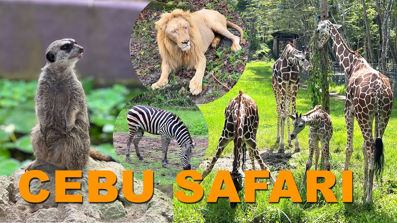 Cebu Safari and Adventure Park