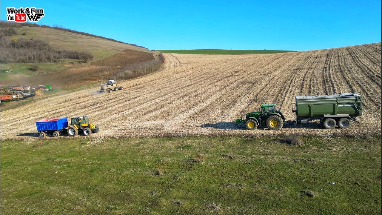 Recoltăm porumb în Martie 🇷🇴 #agriculture 