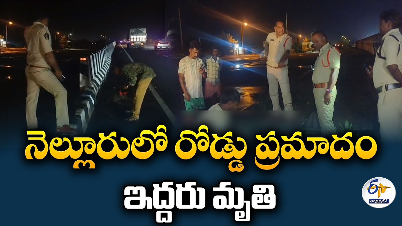 నెల్లూరులో రోడ్డు ప్రమాదంలో ఇద్దరు యువకులు మృతి
