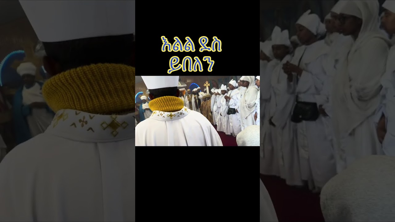 February 15, 2026
