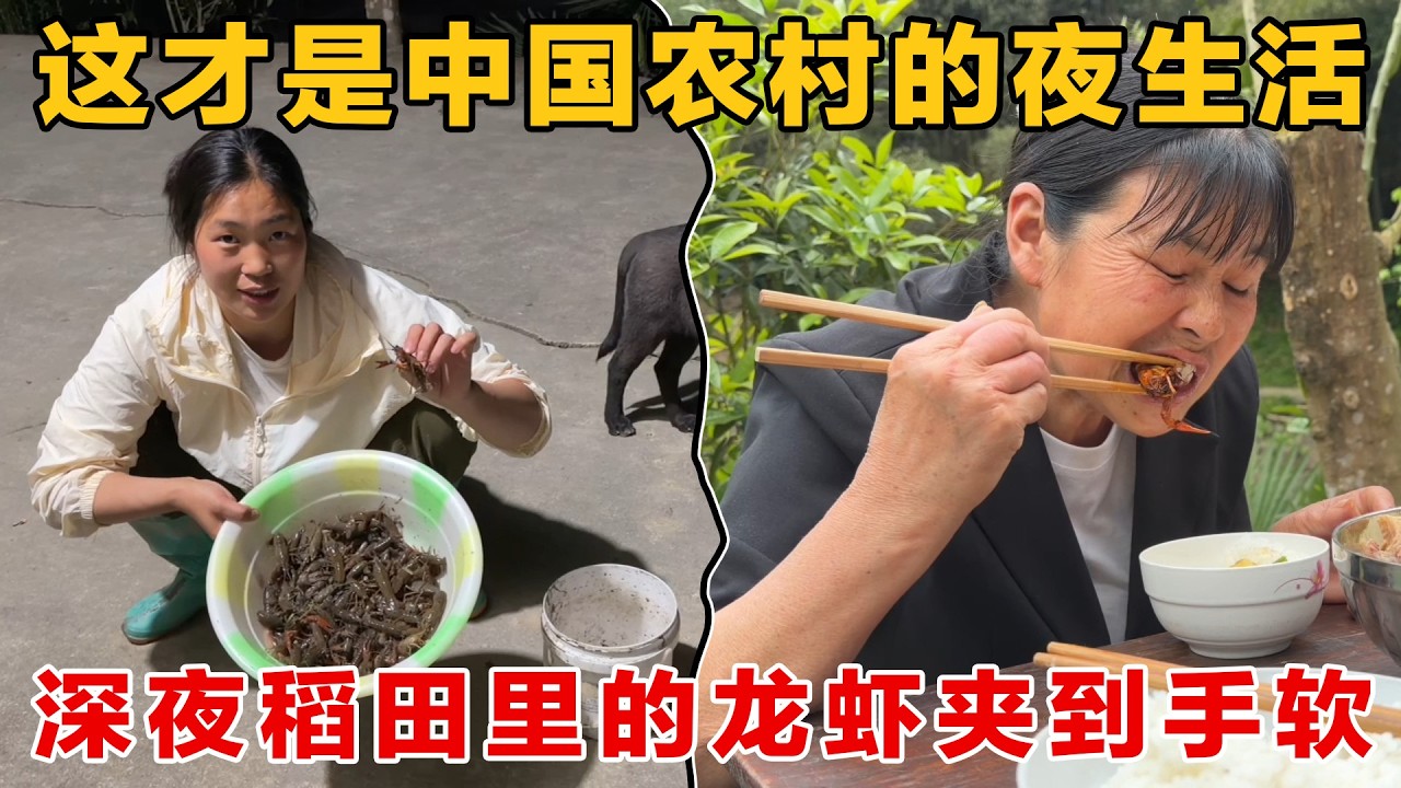这才是中国农村的夜生活，深夜稻田里的龙虾太多了，夹到手软#农人飞扬