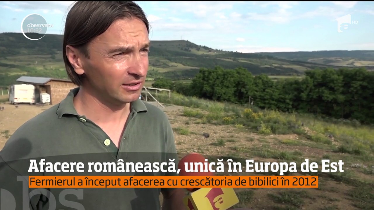 Un crescător de bibilici din Harghita a dezvoltat o afacere unică în Europa de est